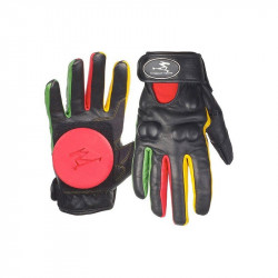 Acheter Gants de slide Timeship Ragdoll Rasta