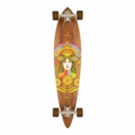 Longboard Arbor Fish Solstice B4BC Multi 37