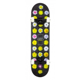 Skate Birdhouse Stage 3 Armanto Floral 7.75