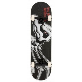 Skate Birdhouse Stage 3 Falcon 1 8.125
