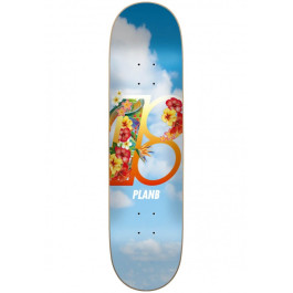 Deck Plan B Team Hawaii 8.25