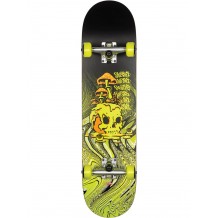 Skate Globe G1 Nature Walk 8.125"