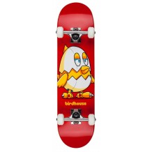 Skate Birdhouse Stage 1 Chicken Mini 7.38"