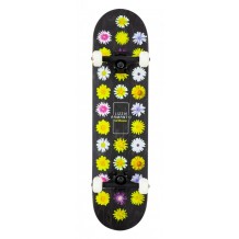 Skate Birdhouse Stage 3 Armanto Floral 7.75"