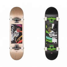 Skate Globe Mt Warning