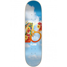 Deck Plan B Team Hawaii 8.25"