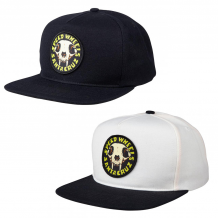 Casquette Santa Cruz SW Skull