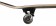 Skate Birdhouse Stage 3 Hawk Wings 7.75"