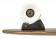 Cruiser Globe Blazer Walnut 26"