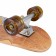 Cruiser Arbor Solstice B4BC Pilsner Multi 28.75"