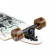 Longboard Arbor Zepplin Bamboo 'El Rose' 32"