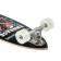 Longboard Arbor Fish 'Boss Dog' 37" 