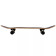 Skate Acta Memphis 7.75"