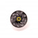Roue Eagle Radix 115mm Noir-Blanc