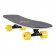 Surfskate Landyachtz Surf Life Birds 32"